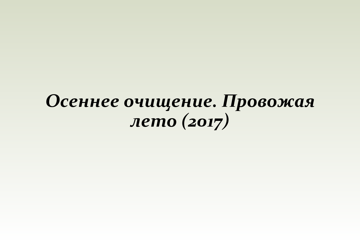 Осеннее очищение. Провожая лето (2017)