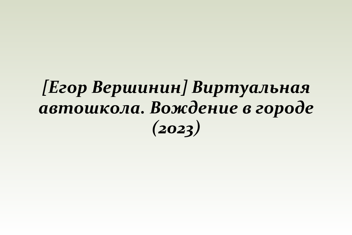 [Егор Вершинин] Виртуальная автошкола. Вождение в городе (2023)