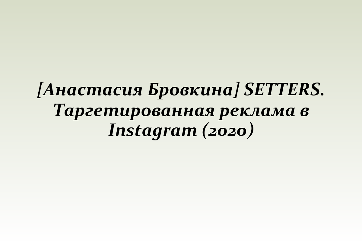 [Анастасия Бровкина] SETTERS. Таргетированная реклама в Instagram (2020)